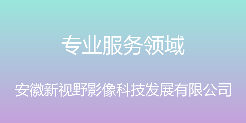 专业服务领域 - 安徽新视野影像科技发展有限公司