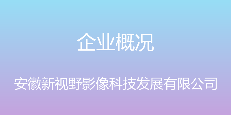 企业概况 - 安徽新视野影像科技发展有限公司